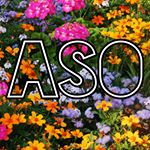 All Souled Out Co - Black Owned