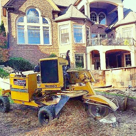 Coleman Stump Removal - Black Owned